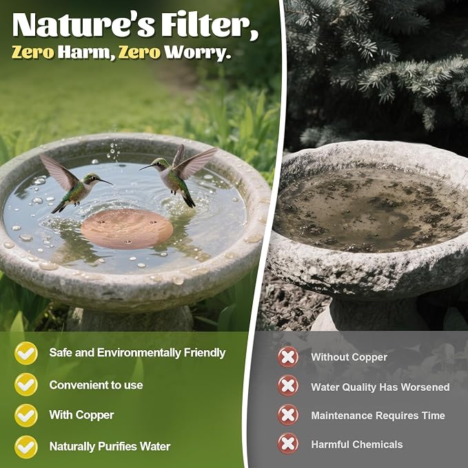 NNG 2 Pack Bird Bath Copper Disk, 1mm Thick Reinforced 99.9% Pure Copper Bird - Image 2