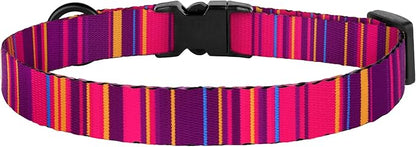 Cat Collars 2 Pack - Image 8