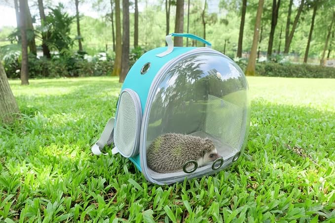 Small Animal Carrier Guinea Pig Backpack, Transparent, Breathable Backpack - Image 6