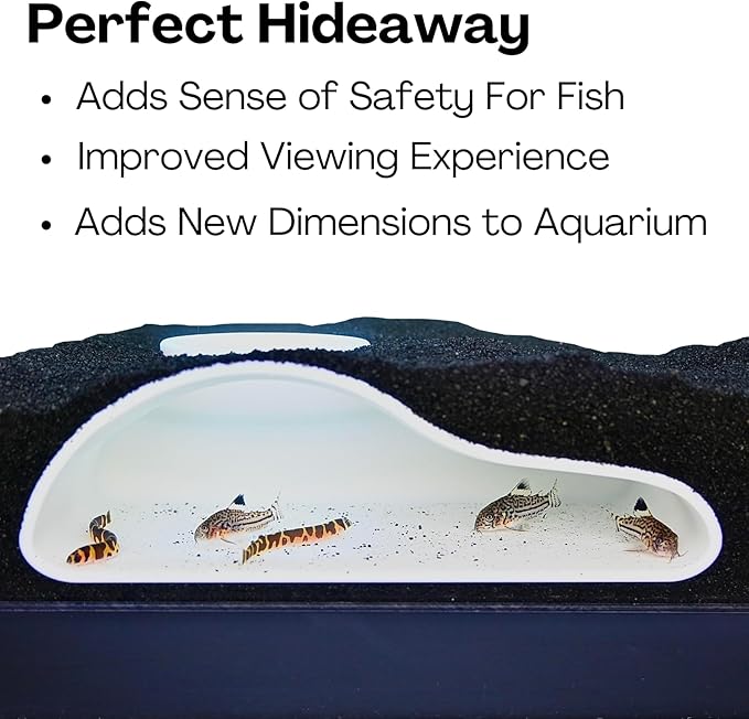 Aquarium Underground Tunnel Cave Natural Curve | Viewing Fish & Shrimp Under - Image 4