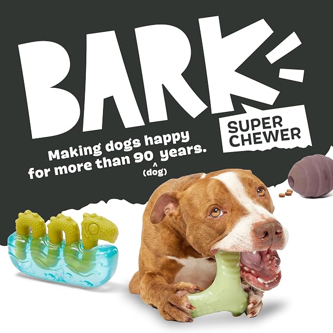 Barkbox Pumpkin Prodigy Dog Toy | Treat-Dispensing Rubber Dog Toy - Image 6