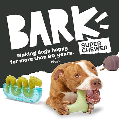 Barkbox Pumpkin Prodigy Dog Toy | Treat-Dispensing Rubber Dog Toy - Image 6