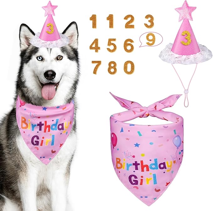 Dog Boy Girl Birthday Party Hat, Dog Birthday Party Supplies, Doggie Birthday by Yicostar