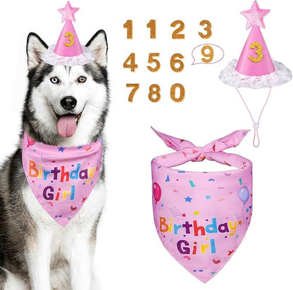 Dog Boy Girl Birthday Party Hat, Dog Birthday Party Supplies, Doggie Birthday by Yicostar
