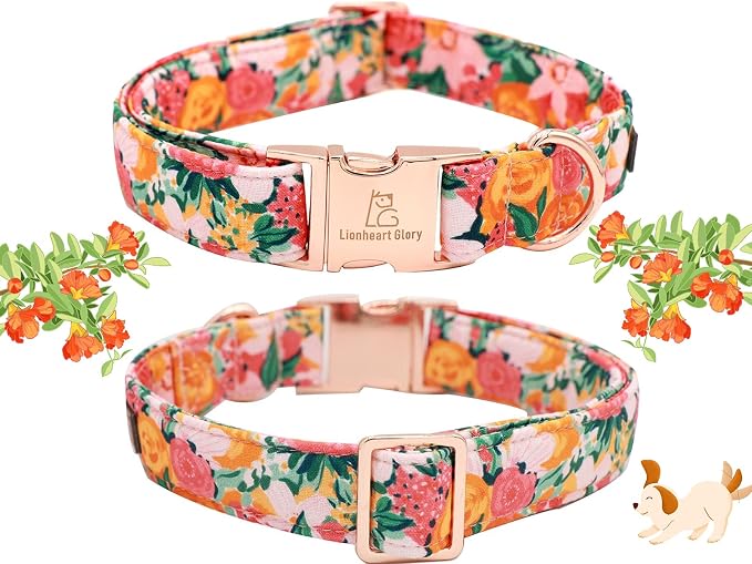 Lionheart Glory Dog Collar, Dog Collar - Image 4