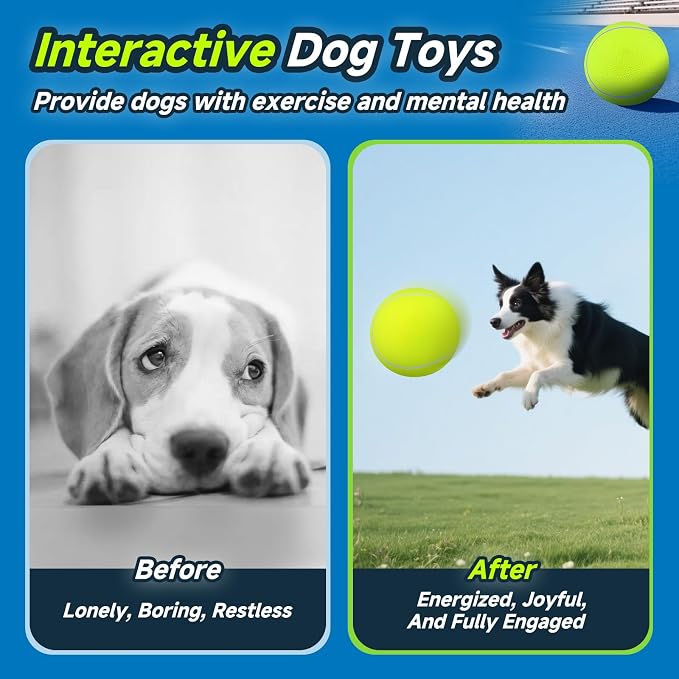 HETOO Giant Tennis Balls for Dogs: 9.5 inch Large Dog Toys- Outdoor Herding Dog - Image 7