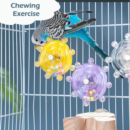Bird Toys for Parakeets, Colorful Parakeet Toys Wheel, Interactive Spinner - Image 3