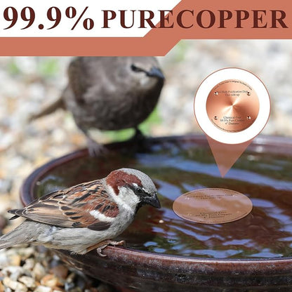 2 Pcs Bird Bath Copper Disk, 0.6mm Thick Reinforced 99.99% Pure Copper Birdbath - Image 7