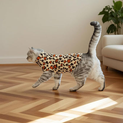 EXPAWLORER Soft Cat Sweater - Image 6