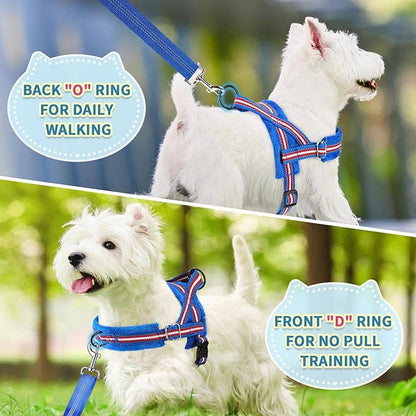 SlowTon No Pull Small Dog Harness and Leash Set, Puppy Soft Vest Harness Neck & - Image 4