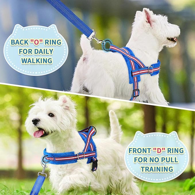 SlowTon No Pull Small Dog Harness and Leash Set, Puppy Soft Vest Harness Neck & - Image 4