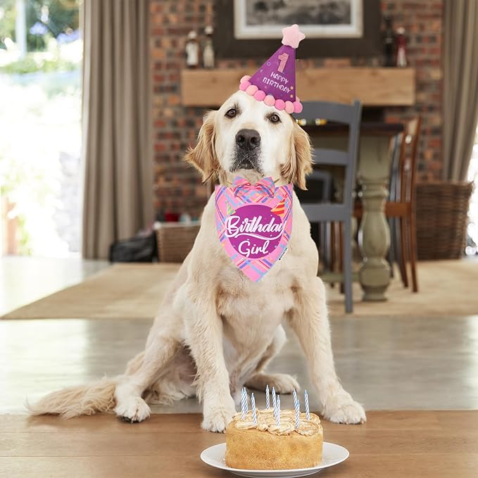 ADOGGYGO Dog Birthday Party Supplies - Image 2