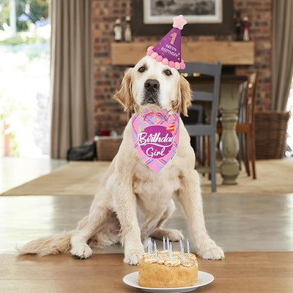 ADOGGYGO Dog Birthday Party Supplies - Image 2