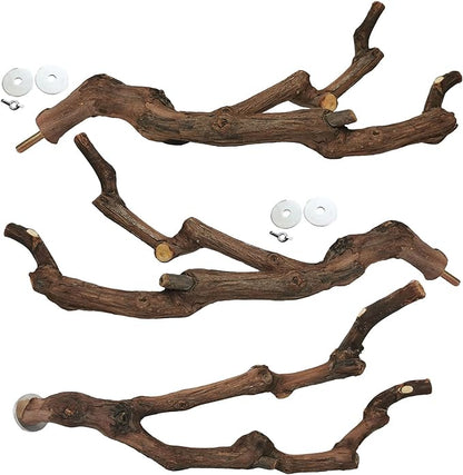 kathson Natural Parrot Perch Bird Stand Pole Wild Grape Stick Paw Grinding Fork by kathson