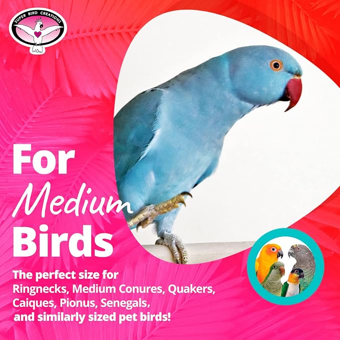 Super Bird Creations SB748 Flying Trapeze Bird Toy - Image 4
