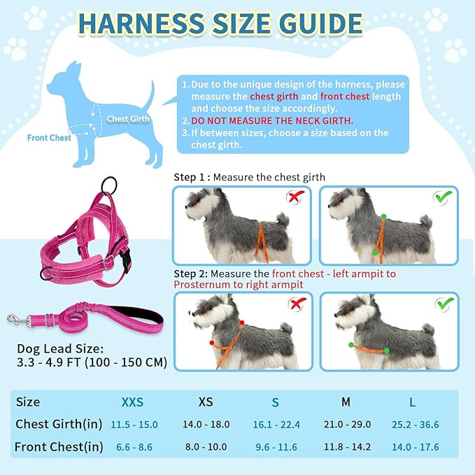SlowTon No Pull Small Dog Harness and Leash Set, Puppy Soft Vest Harness Neck & - Image 5