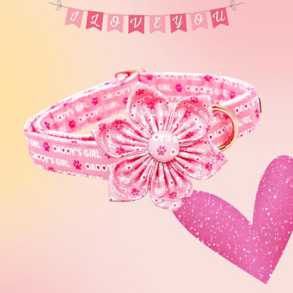 Lionheart glory Valentine's Day Dog Collar - Image 3
