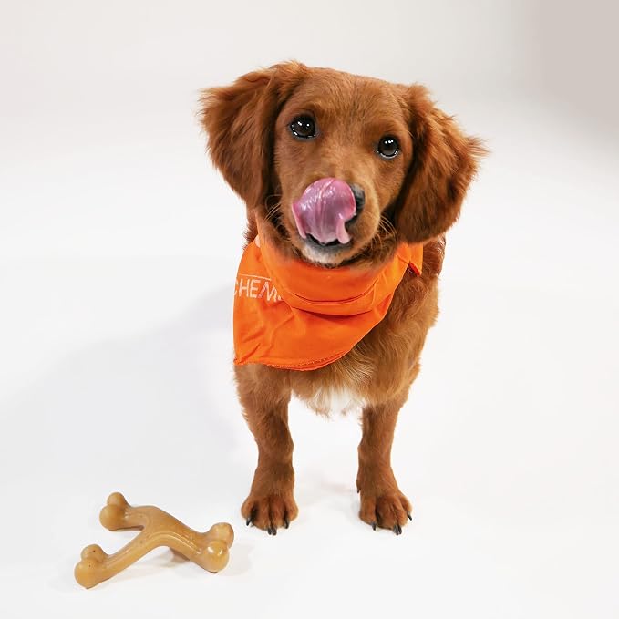 Nylabone Gourmet Style Wishbone Strong Chew Toy - Image 13