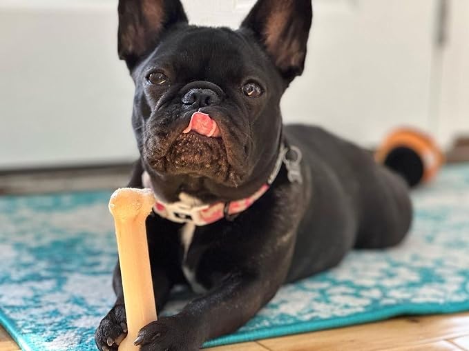 Nylabone Original Bone Power Chew Toy - Image 2