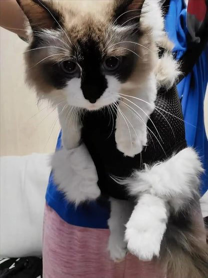 Pet Carrier Backpack - Image 5