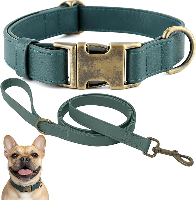 Dog Collar and Leash Set, Leather Silicone Waterproof Odor-Proof Dog Collar and by Ben+%26+Fellows