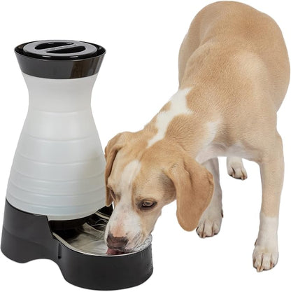 PetSafe Healthy Pet Water Station by PetSafe