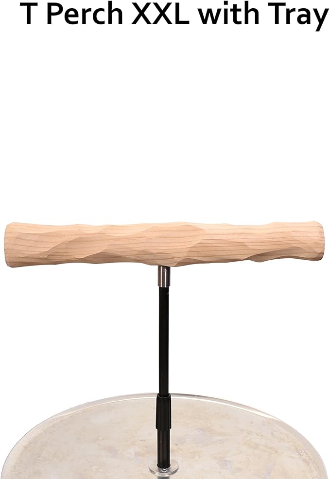 Parrot Training Perch Stand - Image 3
