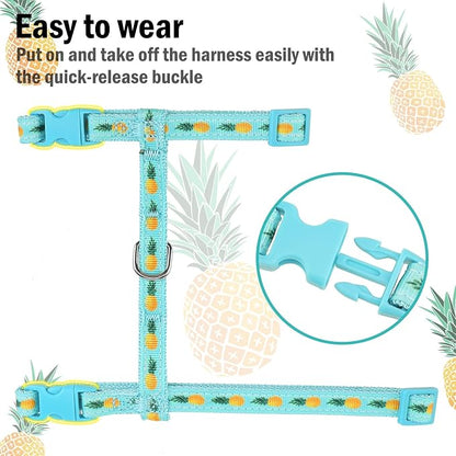 PUPTECK Adjustable Cat Harness and Leash Set Escape Proof Kitten Strap Collar - Image 4