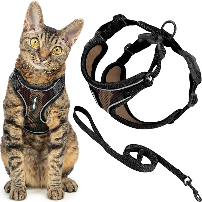 Voyager Escape-Proof Step-in Lock Cat Harness & 5ft Neoprene-Handle Leash Set by BestPetSuppliesLLC