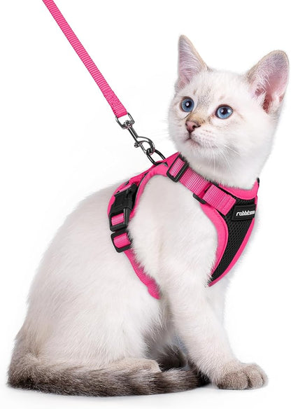rabbitgoo Cat Harness and Leash Set, Escape Proof Soft Adjustable Vest Harnesses by rabbitgoo