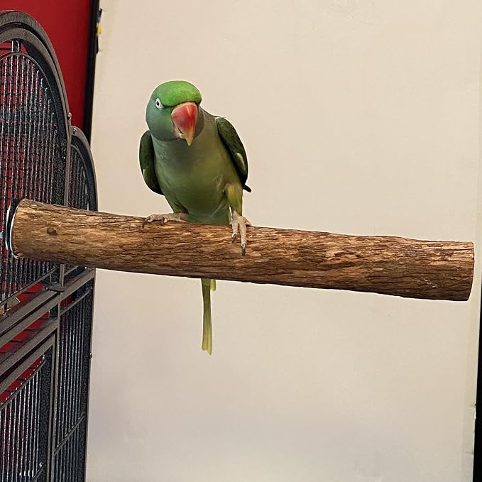 Polly's Hardwood Bird Perch - Image 5
