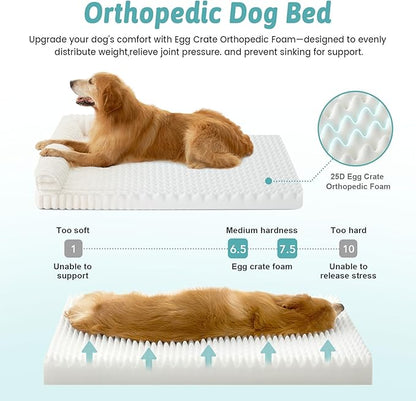 Cute Dog Bed, Faux Rabbit Fur Orthopedic Foam Dog Bed - Image 2