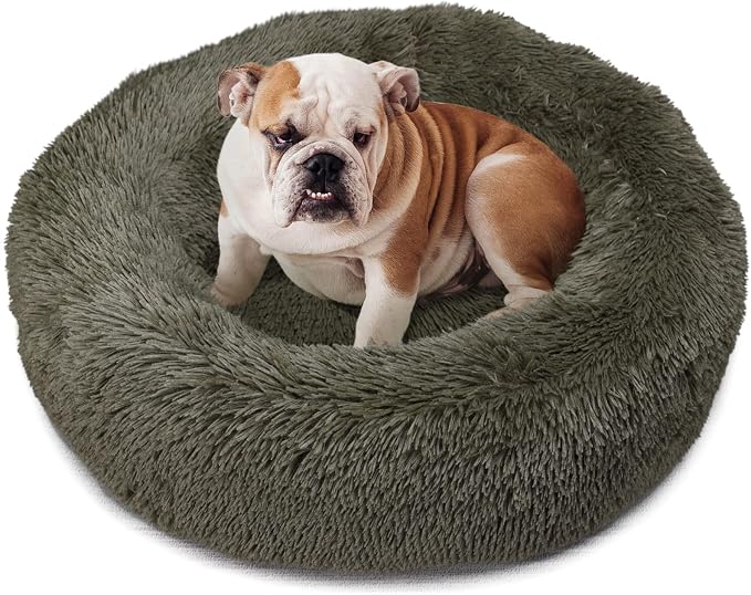 nononfish Dog Bed Mat for Medium Dogs, Army Green Orthopedic Pet Bed, High by nononfish
