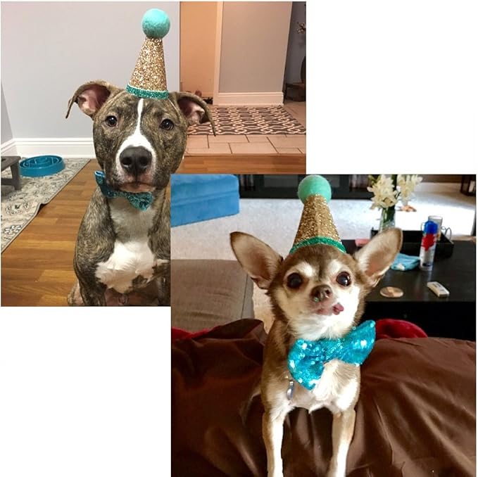 CheeseandU Pet Cute Birthday Party Cone Hat and Bow tie Collar Set - Image 7