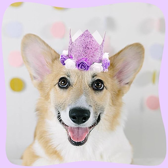 PET SHOW Purple Crown Dog Birthday Party Hat - Image 8