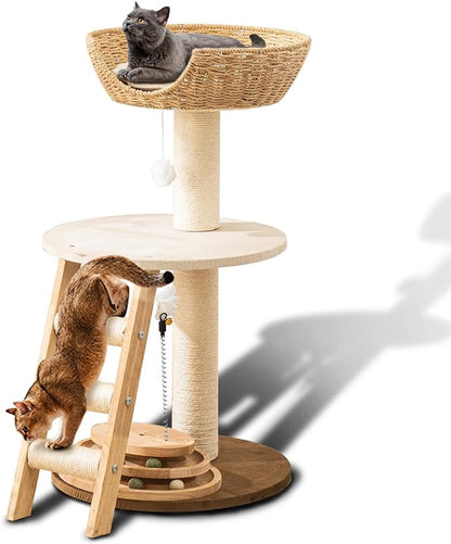 Natural Wood Modern Cat Tree by Hiyong