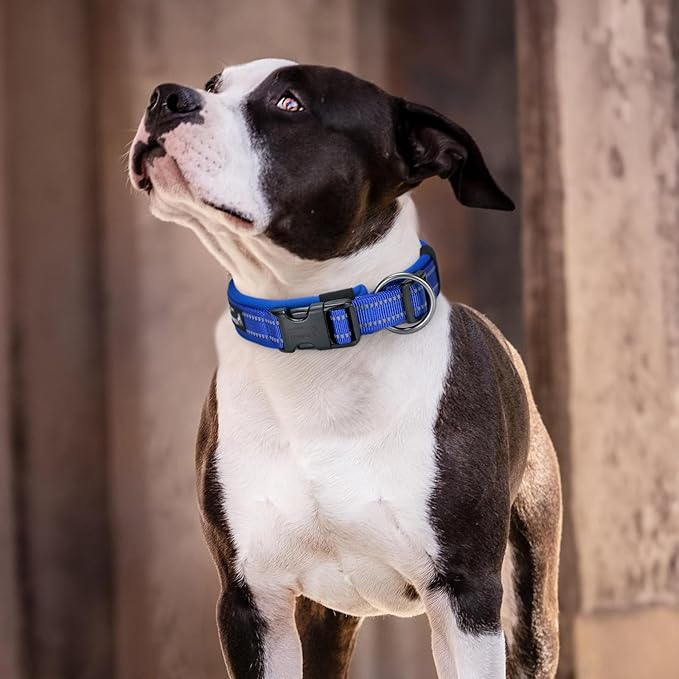 EXCELLENT ELITE SPANKER Reflective Dog Collar Classic Soft Padded Breathable - Image 7