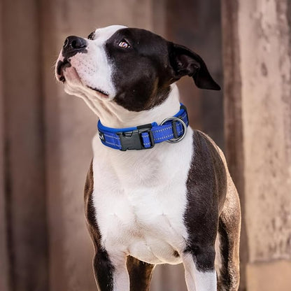 EXCELLENT ELITE SPANKER Reflective Dog Collar Classic Soft Padded Breathable - Image 7