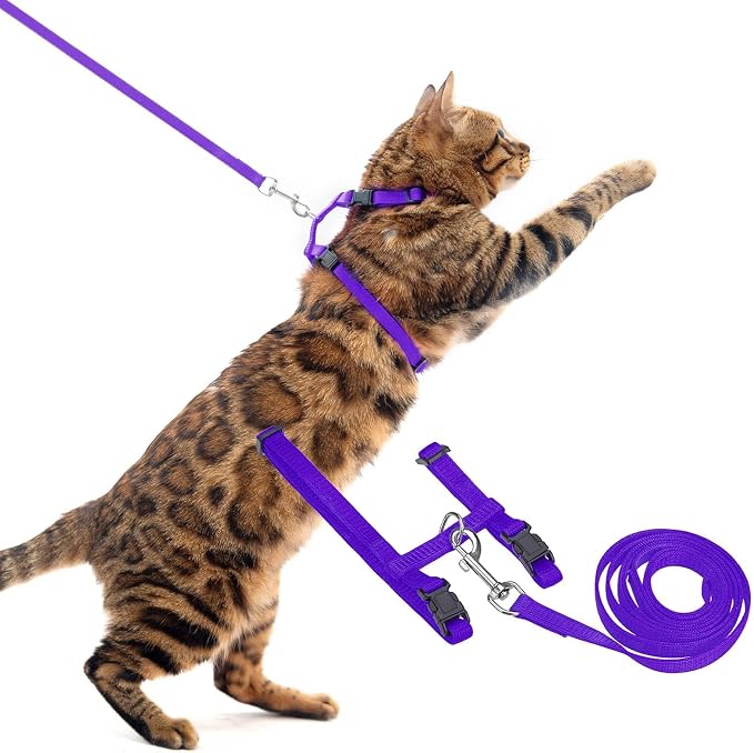 PUPTECK Adjustable Cat Harness and Leash Set Escape Proof Kitten Strap Collar by PUPTECK