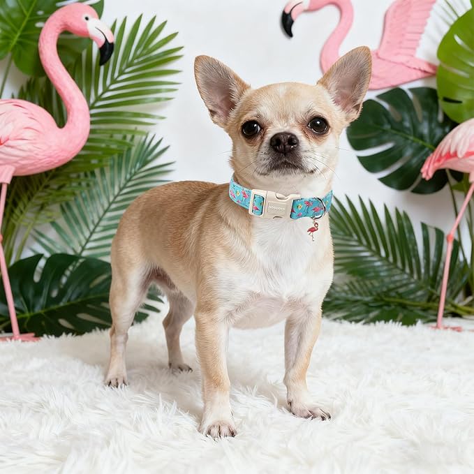 DOGWONG Spring Summer Dog Collar-Cute Flamingo Dog Collar, Adjustable Soft - Image 4