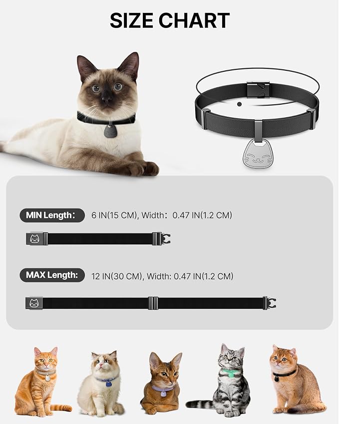 Cat Collar with QR Code Name Tag, Breakaway Kitten Collar - Image 6