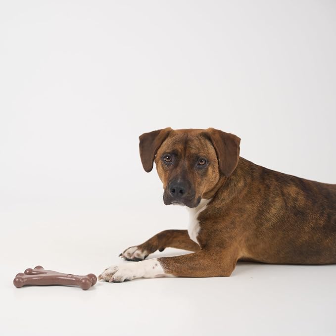 SPOT Bam-Bones Wishbone - Image 13
