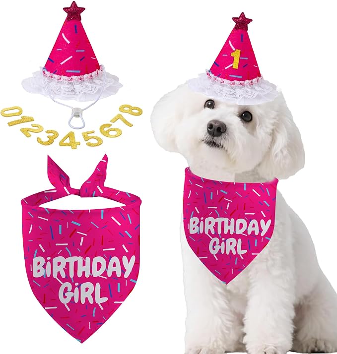 Dog Birthday Bandana Set, Rose Pink Birthday Girl Decorations, HBD Party by GHSJYOHomeDecoration