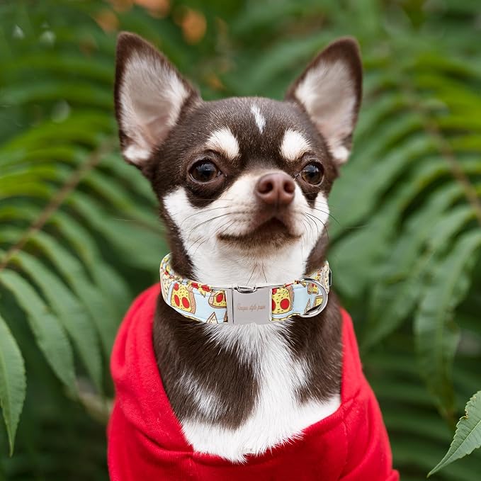 Unique style paws Dog Collar Metal Buckle Collar Gift - Image 4