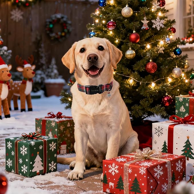 Christmas Dog Collar, Unique Style Paws Red Green Grids Dog Collar - Image 4
