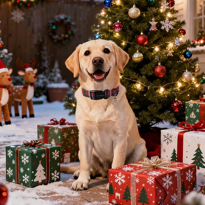 Christmas Dog Collar, Unique Style Paws Red Green Grids Dog Collar - Image 4