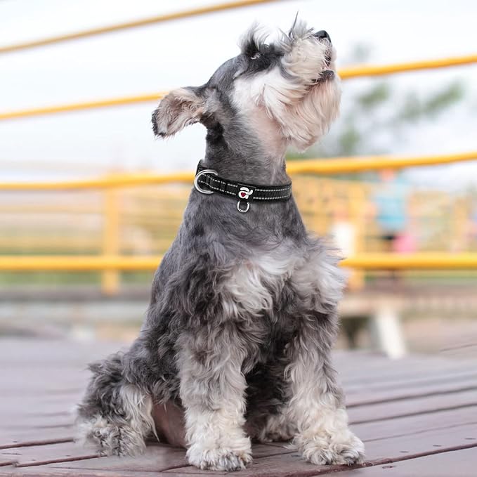 azuza Reflective Dog Collar, Soft Neoprene Padded Pet Collar - Image 5