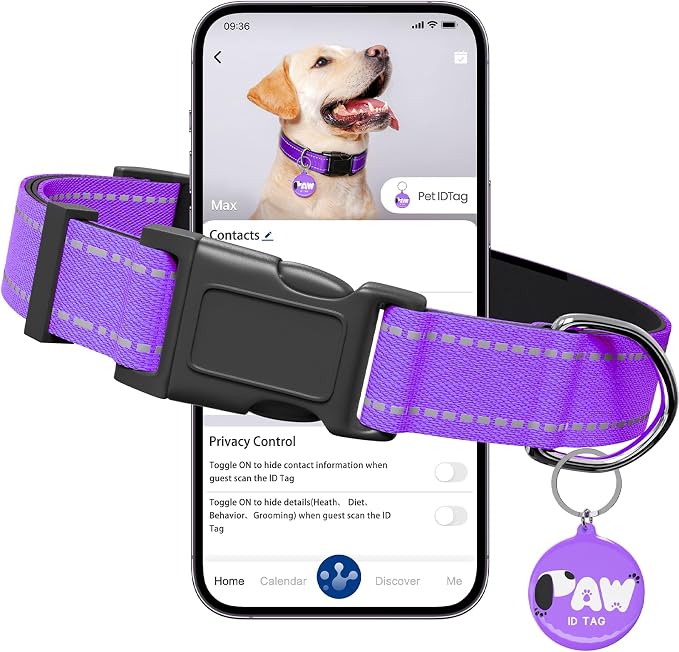 Reflective Dog Collar for Small Dogs by Pawduct
