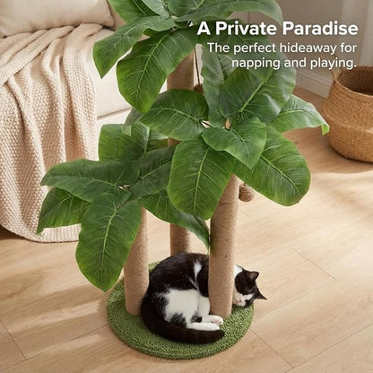 31.5Inch Cat Scratching Post, Cat Scratcher Tree - Image 6