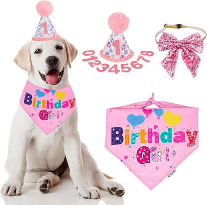 ADOGGYGO Dog Birthday Party Supplies by ADOGGYGO